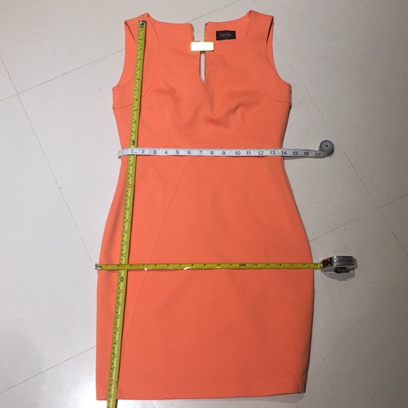 Chinese Laundry - Picture 5 of 6